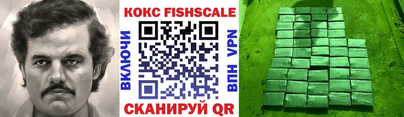 Купить  Иланский  КОКАИН Fish Scale 