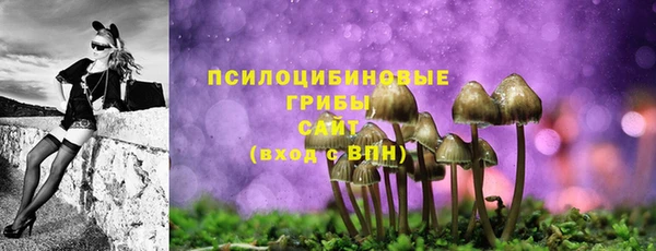 прущий лед Горнозаводск